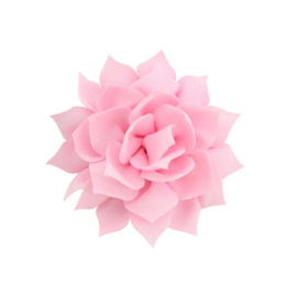 Haarbloem lotus roze