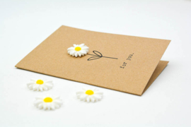 Daisies for you - By Caitlin©