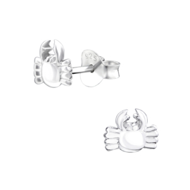 Kinderoorbellen Sterling zilver 925 Krab