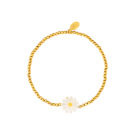 Chirurgisch stalen armband "Daisy"