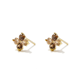 Oorbellen Chirurgisch staal Heart Brown