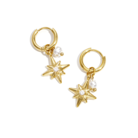 Creolen Chirurgisch staal Stars