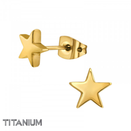 Oorbellen titanium Ster