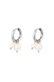 Creolen Chirurgisch staal Pearls