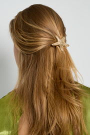 French barette - Starfish