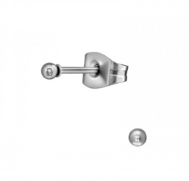 Oorbellen Chirurgisch staal Bal 2mm