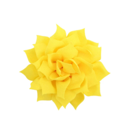 Haarbloem lotus geel (groot)