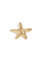 French barette - Starfish