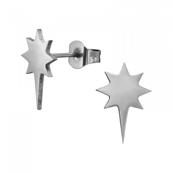 Oorbellen Chirurgisch staal Star