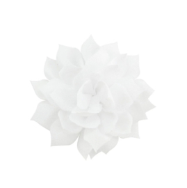 Haarbloem lotus wit (groot)