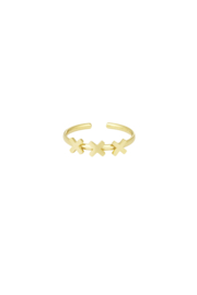 Chirurgisch stalen ring XXX Amsterdam