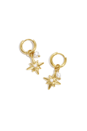 Creolen Chirurgisch staal Stars