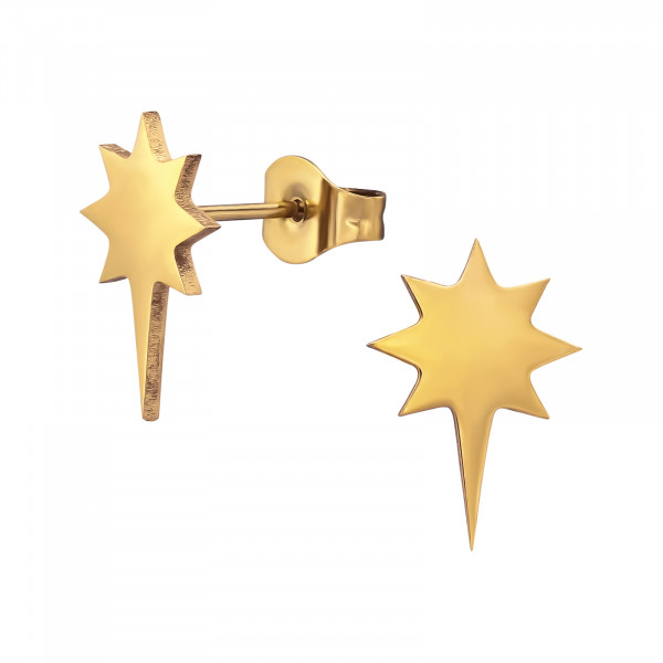 Oorbellen Chirurgisch staal Star