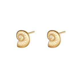 Oorbellen Chirurgisch staal Twisted Shell