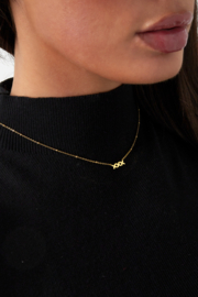 Chirurgisch stalen ketting "XXX Amsterdam"
