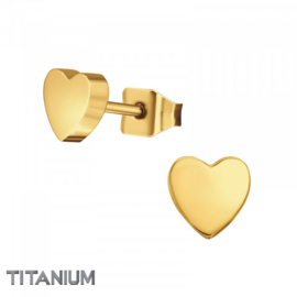 Oorbellen Titanium Hartjes