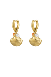 Creolen Chirurgisch staal Shells
