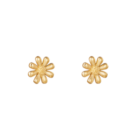 Oorbellen Chirurgisch staal Daisy