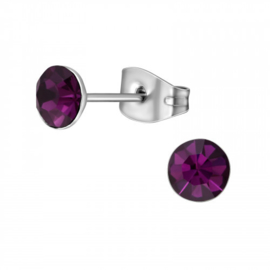 Oorbellen Chirurgisch staal Kegel amethyst 5mm