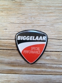 BIGGELAAR DUCATI SPECIALIST