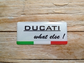 DUCATI WHAT ELSE !