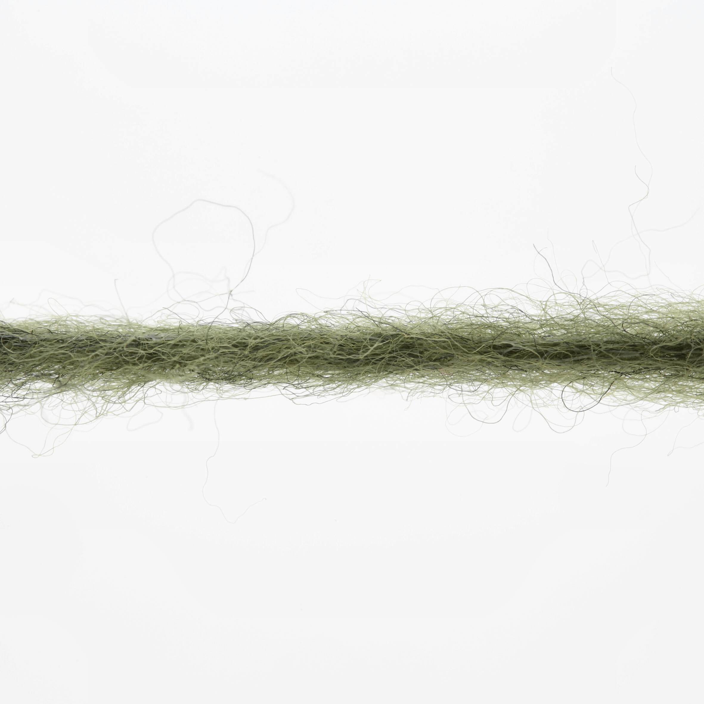Promise 1162.0217 - Fern