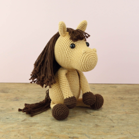 Haakpakket - Paard Morgan