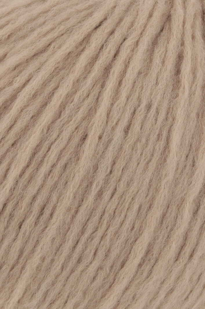 Promise 1162.0039 - Camel