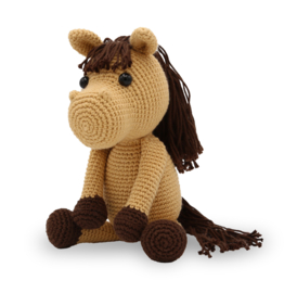 Haakpakket - Paard Morgan