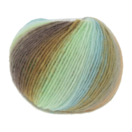 LangYarns Cloud 1077.0016