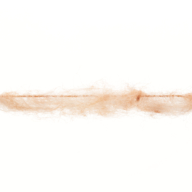 Piuma 1177.0059 - Salmon