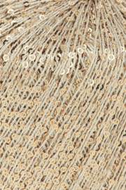 Paillettes 39.0096