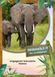 Opal Regenwald 19 - 11336