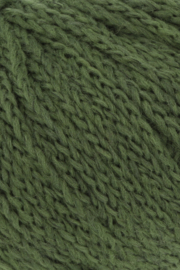 Memory 1124.0118 -Spirulina