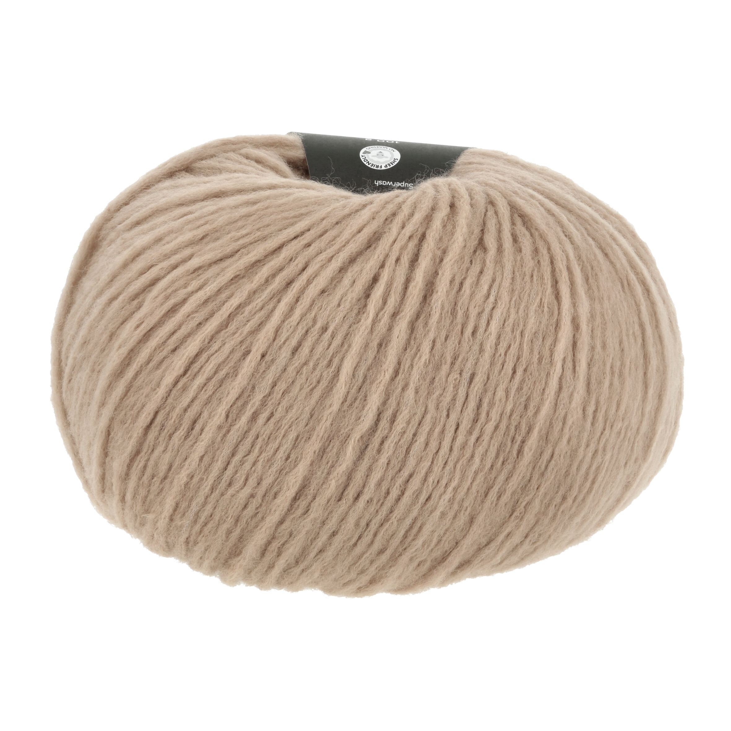 Promise 1162.0039 - Camel