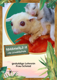 Opal Regenwald 19 - 11332