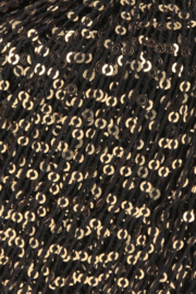 Paillettes 39.0070