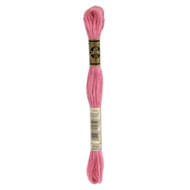 DMC 117MC Mouline - Kleur 899