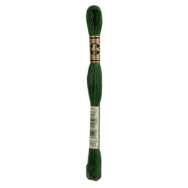 DMC 117MC Mouline - Kleur 895
