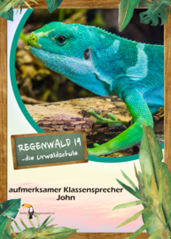 Opal Regenwald 19 - 11337