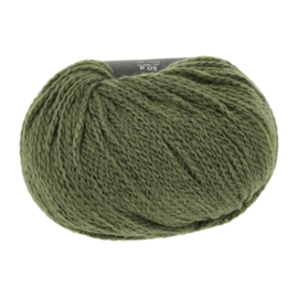 Memory 1124.0118 -Spirulina