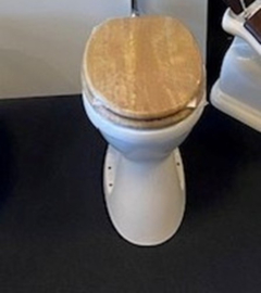 Vlakspoel toilet AO compleet met een hooghangende stortbak en verchroomde valpijp