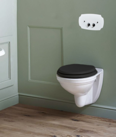 retro drukplaat KSWP001PG in glanzend gepolijst goud voor Geberit UP320 systemen