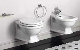 Losse WC bedieningsplaat in het chroom met witte hendel