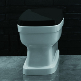 Klassiek back to wall toilet  Evolution