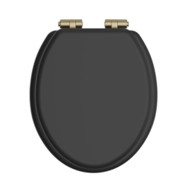 Eiken zitting KSTHZ002BB met geborsteld messing soft close scharnieren voor het KSTH001 toilet