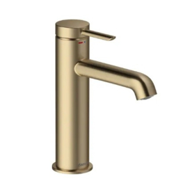 Maatwerk douchedeur met geborsteld brons beslag ( Hans Grohe, Damixia )