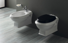 KSTZ06 witte toilet zitting voor KSTA toiletten met soft close, chroom