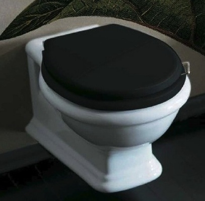 SLA003 Toiletzitting met deksel glans zwart, kunststof