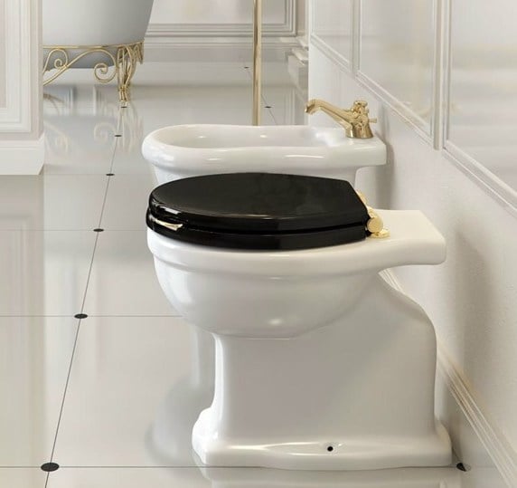 klassieke toilet met bidet